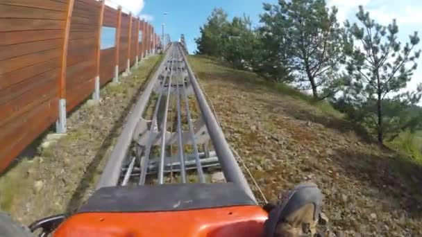 Fun Bobsleigh Track Father Son Enjoy Bobsled Rides — Stock Video
