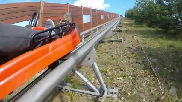 Spaß Auf Der Rodelbahn Vater Und Sohn Genießen Rodelfahrten — Stockvideo