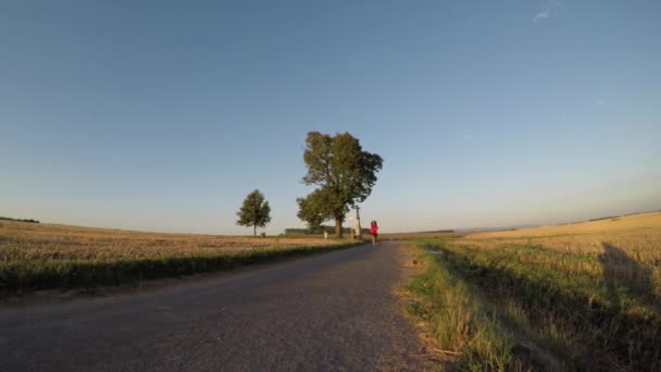 Courir Coucher Soleil Jeune Femme Faisant Exercice Été Mouvement Lent — Video