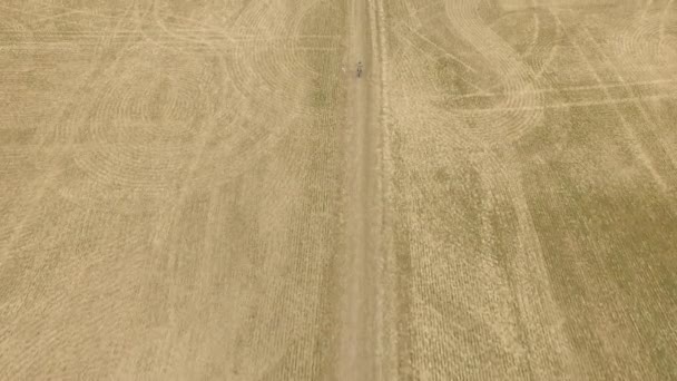 Niño Pequeño Montando Una Bicicleta Niño Montando Una Bicicleta Largo — Vídeo de stock