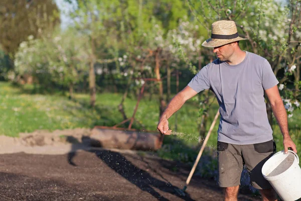 Planting a new lawn. — Stock Photo, Image