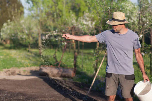 Gardener Laying Out New Grass Establishment Turf Shallow Dof — Stock Photo, Image