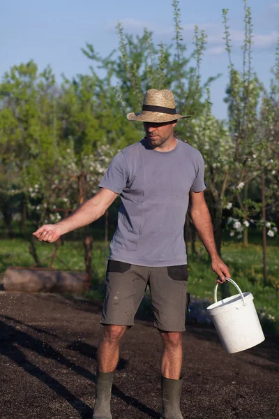 Gardener Laying Out New Grass Establishment Turf Shallow Dof — Stock Photo, Image