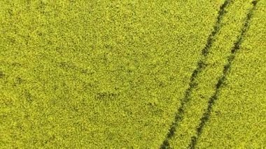 Hava atış alanının tecavüz ile. Kuş bakışı üzerinden çiçek açan tecavüz video.