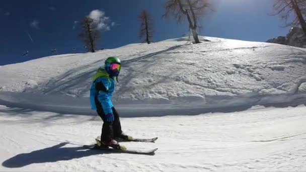 Little Boy Skiing Year Old Child Enjoys Winter Holiday Alpine — 비디오