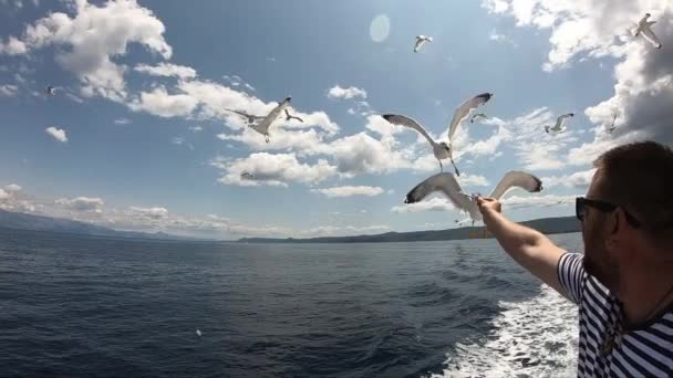 Nutrire Gabbiani Una Nave Crociera Gita Barca Intorno Alle Isole — Video Stock