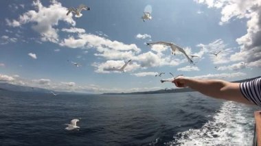Hırvat kıyılarında tekne gezisi. Makarska Riviera 'dan Hvar ve Brac adasına sür. Sabitlenmiş görüntü.