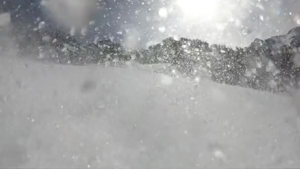 Niño Esquiando Hombre Disfruta Esquiando Estación Alpina Esquiador Rociando Nieve — Vídeo de stock