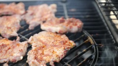 Açık ateşte et kızartılıyor. Ateşte et kızartılıyor. Yaz mevsimi en iyi arkadaşlar.