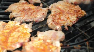 Açık ateşte et kızartılıyor. Ateşte et kızartılıyor. Yaz mevsimi en iyi arkadaşlar.