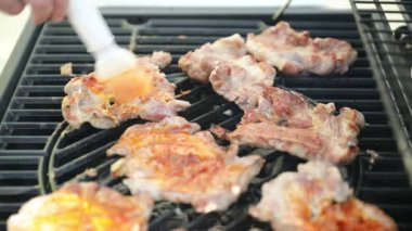 Açık ateşte et kızartılıyor. Ateşte et kızartılıyor. Yaz mevsimi en iyi arkadaşlar.