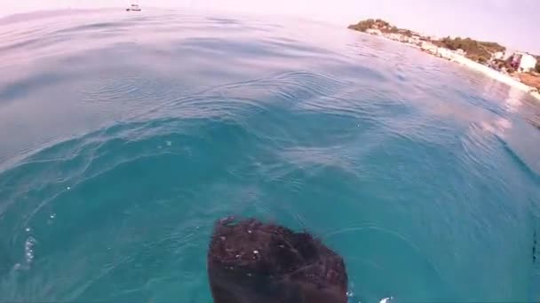 Подводный Снимок Горной Породы Закрытие Дна Поддона — стоковое видео