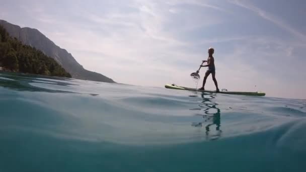 Malý Chlapec Paddleboardu Roztomilé Dítě Učení Paddleboardu — Stock video