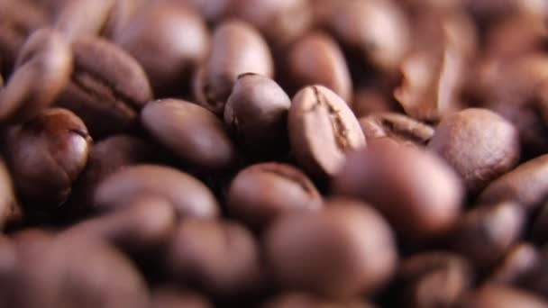 Making Delicious Coffee Closeup Falling Coffee Beans Slow Motion Shallow — Stock Video