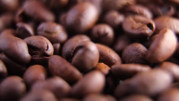 Robię Pyszną Kawę Zbliżenie Spadających Ziaren Kawy Zwolnij Trochę Płytki — Wideo stockowe