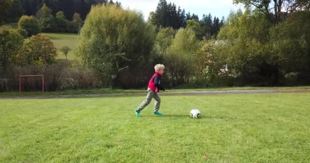 Bambini Piccoli Che Giocano Calcio Ragazzo Spara Portiere Rallegra Gol — Video Stock