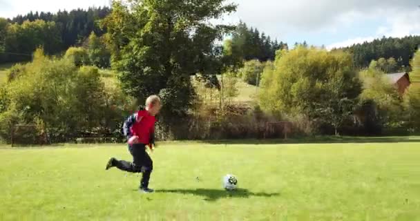 小孩子踢足球 那男孩向守门员射击 并为进球而高兴 — 图库视频影像