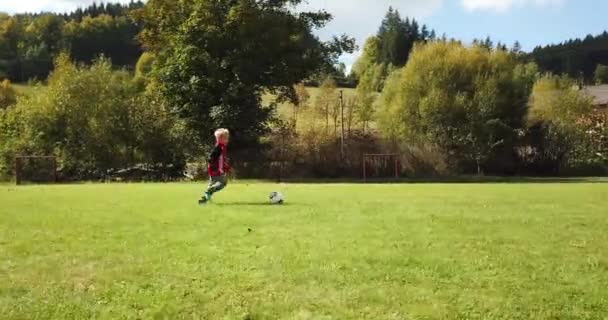 Crianças Pequenas Jogar Futebol Menino Atira Goleiro Alegra Com Gol — Vídeo de Stock