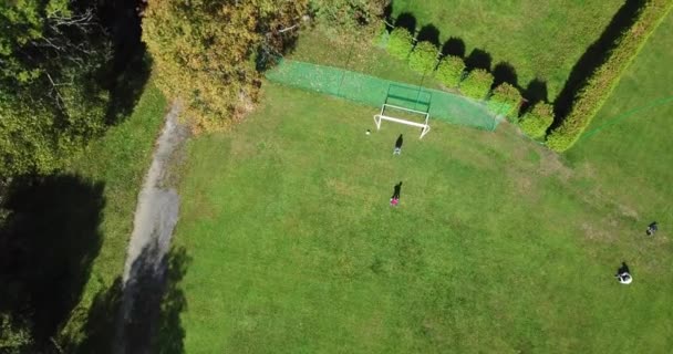 Niños Jugando Fútbol Chico Dispara Portero Regocija Por Gol — Vídeos de Stock