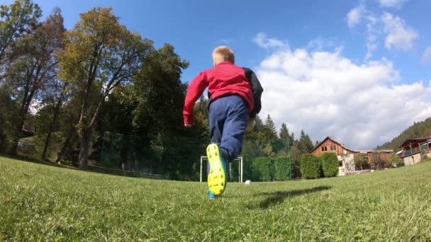 Małe Dzieci Grające Piłkę Chłopiec Strzela Bramkarza Cieszy Się Bramki — Wideo stockowe