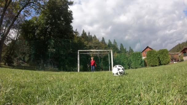 Crianças Pequenas Jogar Futebol Menino Atira Goleiro Alegra Com Gol — Vídeo de Stock