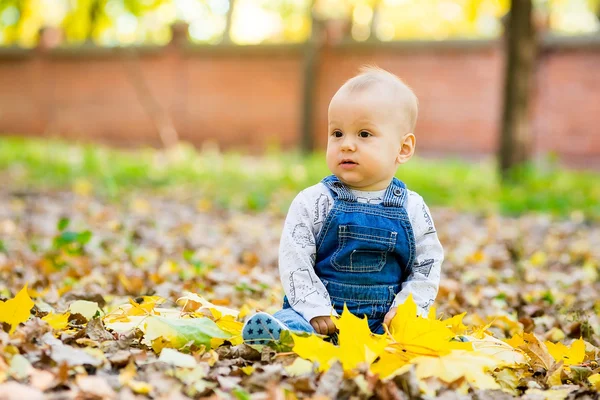 Toddler sitting in the park in autumn leaves — Stock Photo, Image