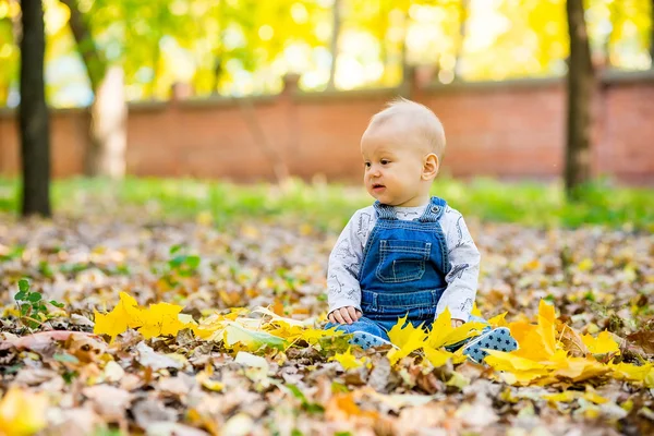 Criança sentada no parque em folhas de outono — Fotografia de Stock