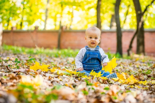 Toddler sitting in the park in autumn leaves — Stock Photo, Image
