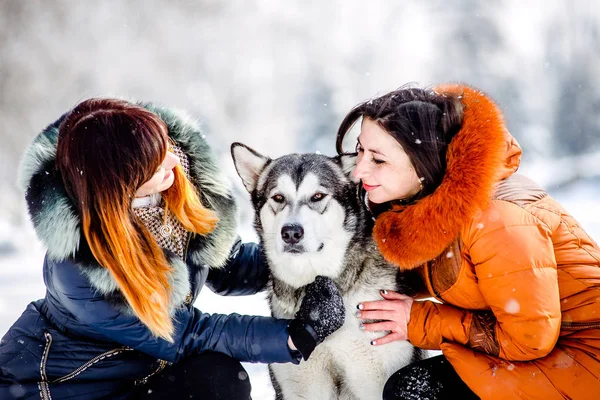 Caminhe Juntos Parque Com Seu Cão Caminhando Com Cão Inverno — Fotografia de Stock