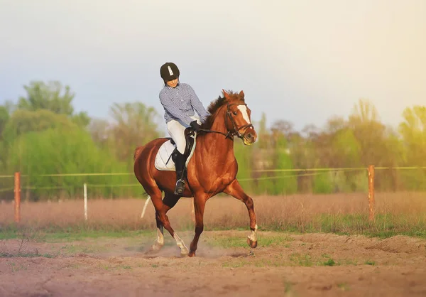 Menina jockey montando um cavalo — Fotografia de Stock