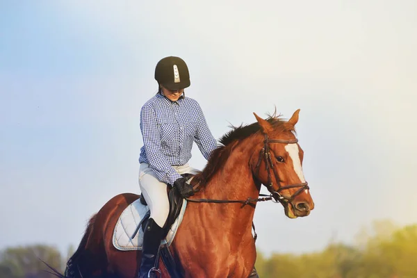 Menina jockey montando um cavalo — Fotografia de Stock