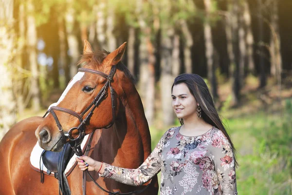 Дівчина з конем — стокове фото