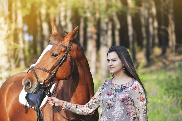 Chica con un caballo — Foto de Stock