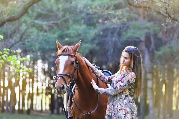 Chica con un caballo — Foto de Stock