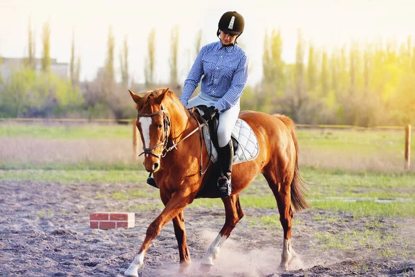 一女孩名骑师骑着马 — 图库照片