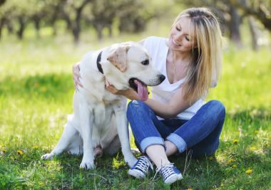 Sarışın bir labrador ile yürüyor