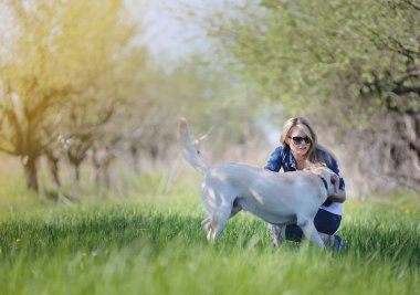 Sarışın bir labrador ile yürüyor