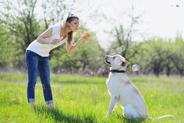 Blonde spelar med en sällskapsdjur labrador — Stockfoto