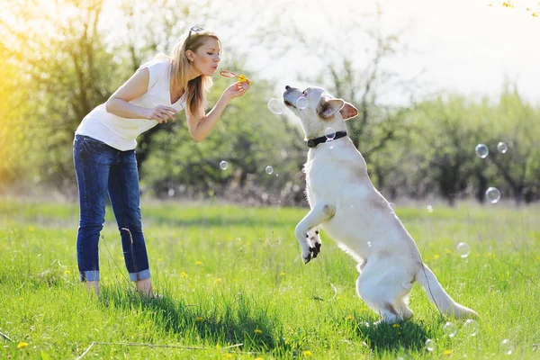 Rubia juega con un labrador mascota —  Fotos de Stock