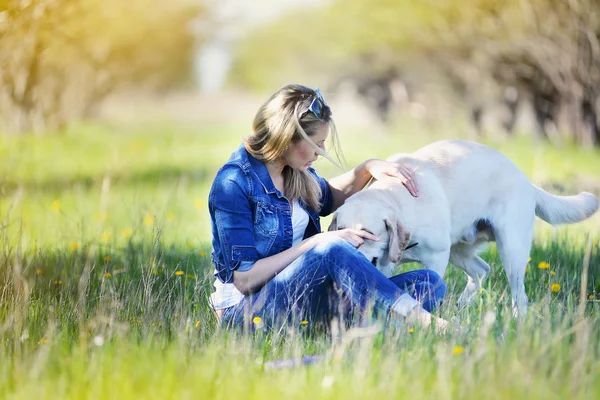Блондинка играет с лабрадором на траве — стоковое фото
