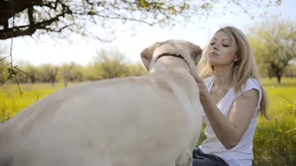De blonde rommelt met een labrador. — Stockvideo