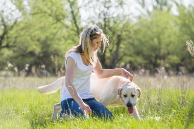 Bir köpek labrador bir sarışınla çalış.