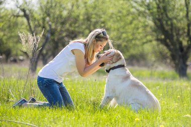 Bir köpek labrador bir sarışınla çalış.