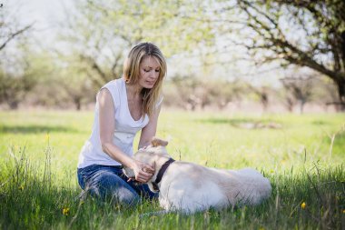 Bir köpek labrador bir sarışınla çalış.