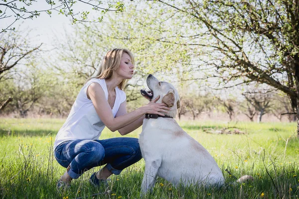 En hund labrador spelar med en blondin. — Stockfoto