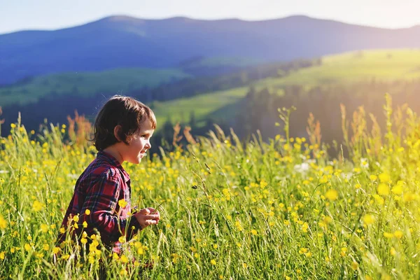 Ένα μικρό αγόρι είναι το περπάτημα στη χλόη στα βουνά. Ταξίδι στα βουνά το καλοκαίρι. — Φωτογραφία Αρχείου
