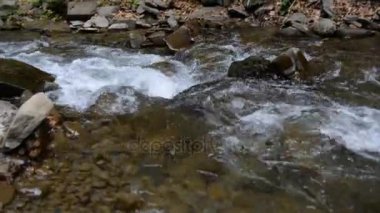 Hızlı temiz soğuk dağ nehir