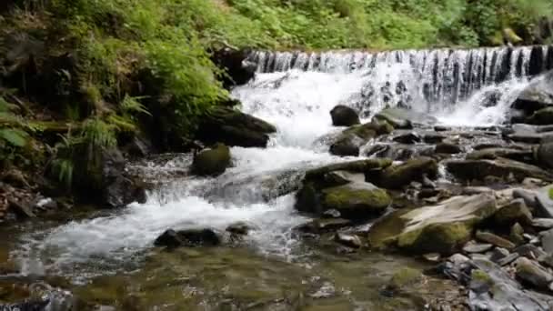 Schnell sauberer kalter Gebirgsfluss — Stockvideo