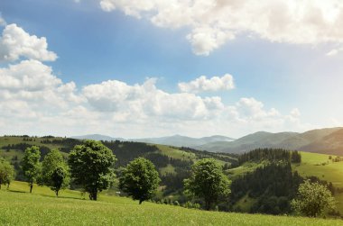 Güneşli bir yaz aylarında dağ çayırları peyzaj