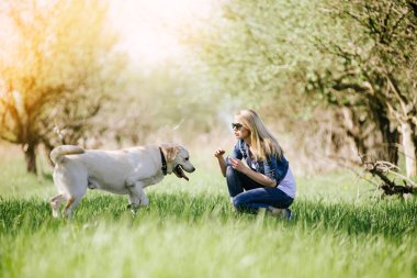Bir av köpeği ile oynayan kadın